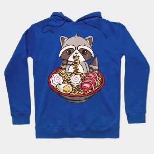 Cute Kawaii Raccoon 3 Hoodie